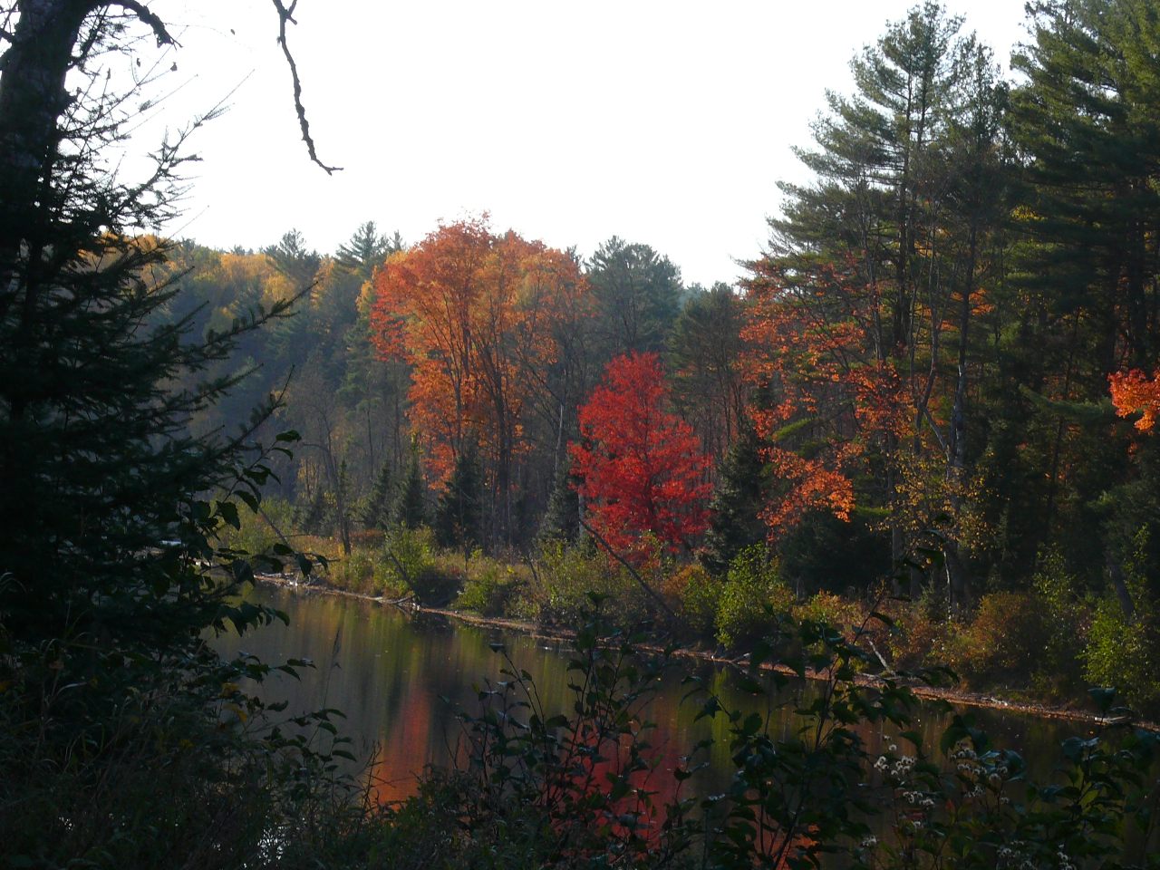 lac vert pontiac36