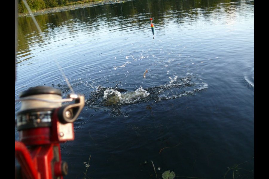 peche au brochet en automne17
